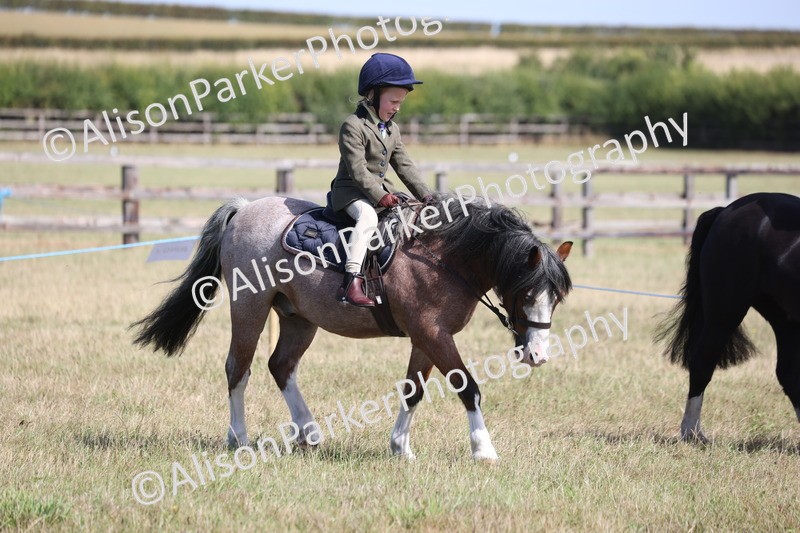 20260906-2581 - Class 18 - Childs First Pony