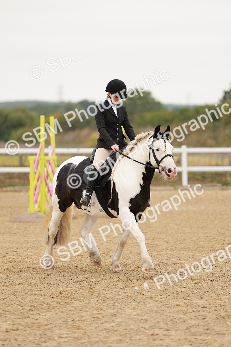 SBM_007133 - Class 2 - 50cm