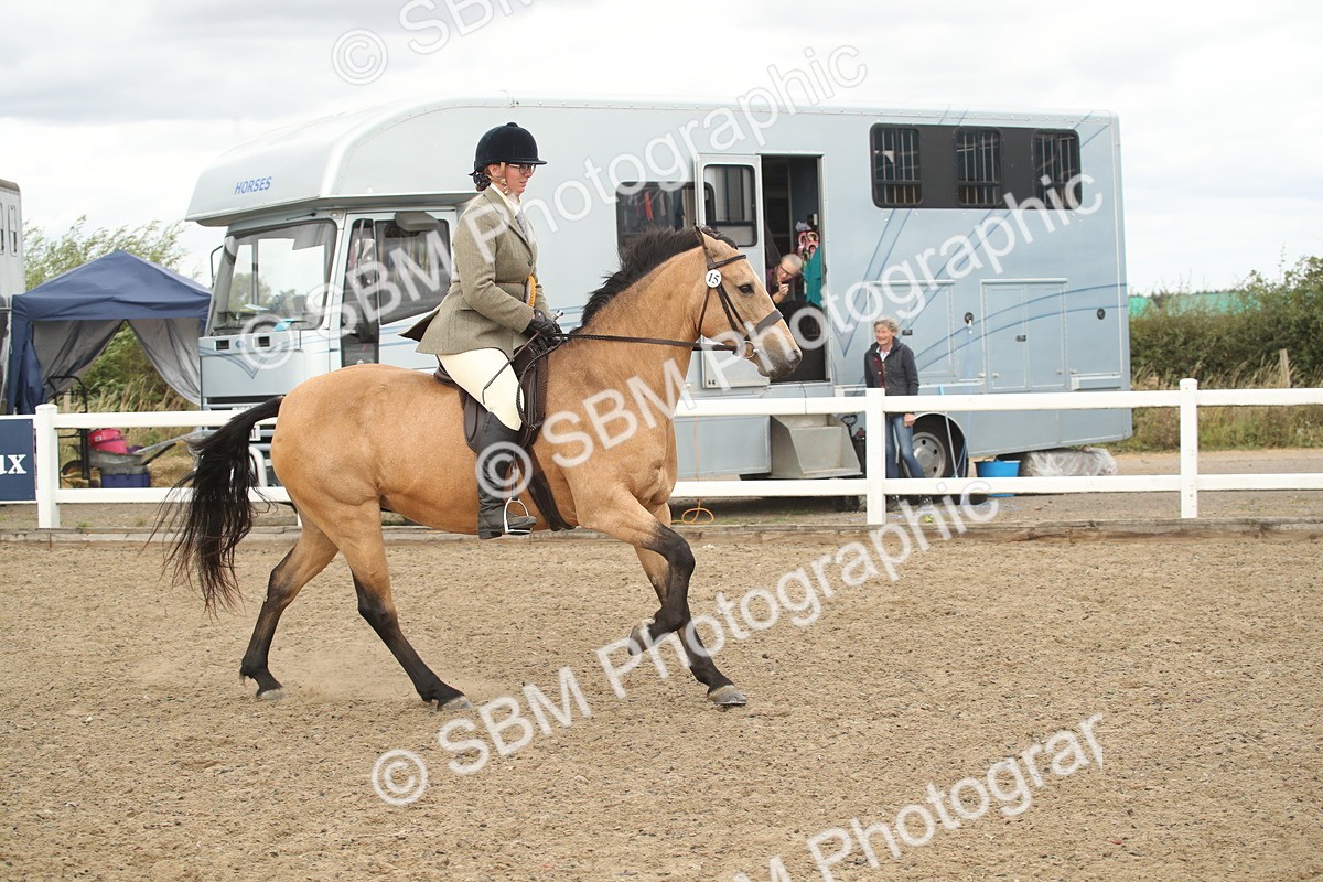 SBM_16720 - Class 507a - Working Veteran - 60cm (15-19)