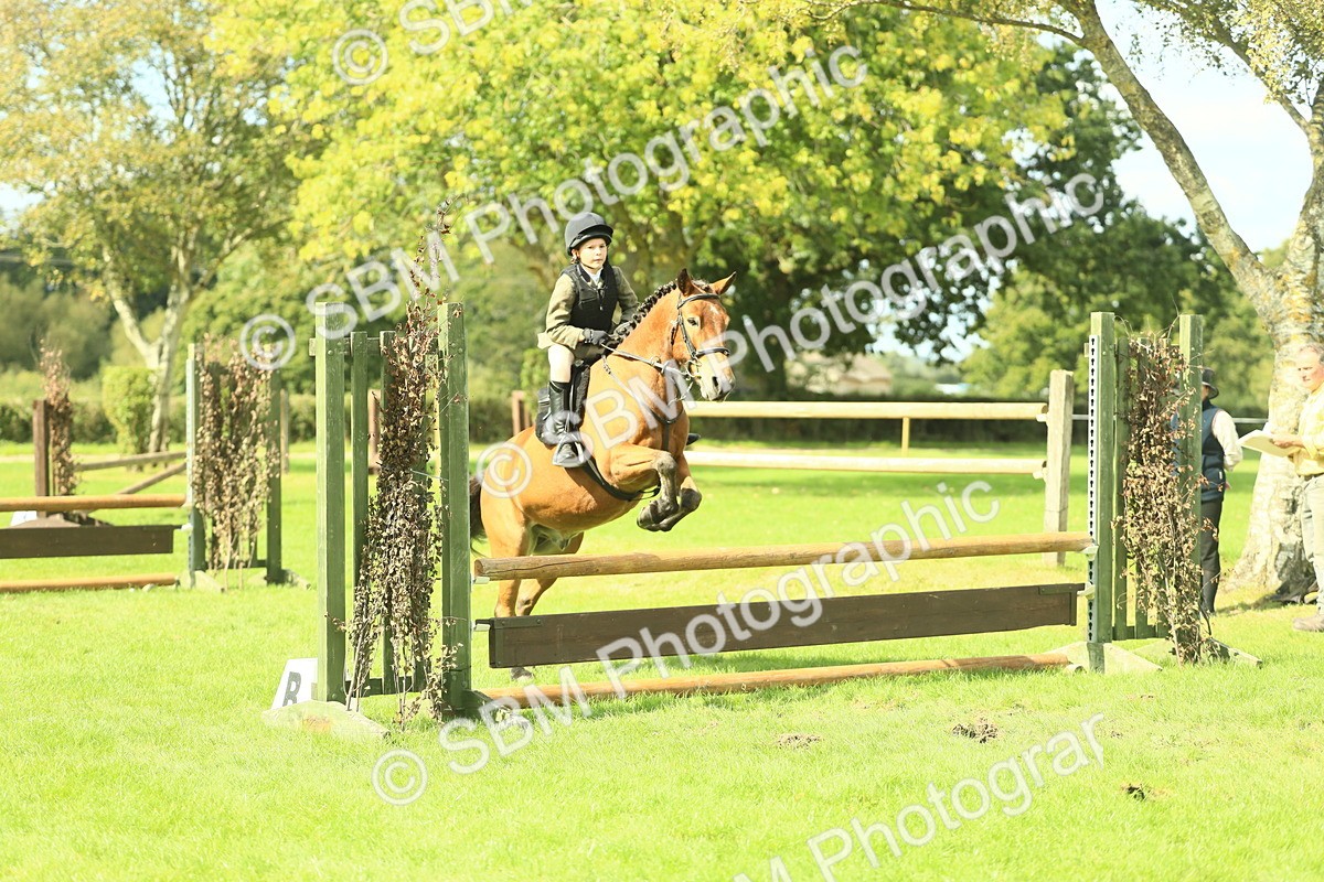 SBM_44618 - S31 - Working Hunter Pony