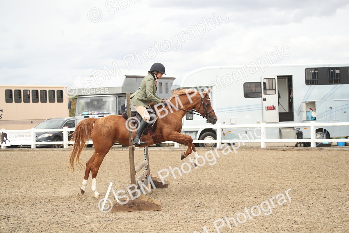 SBM_16760 - Class 507b - Working Veteran 60cm (20+)