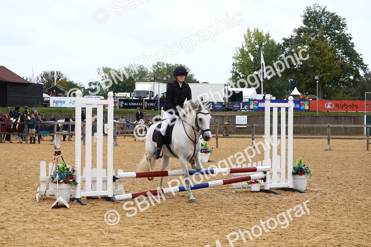 SBM_60110 - J63 - Junior Pony 50cm Championship