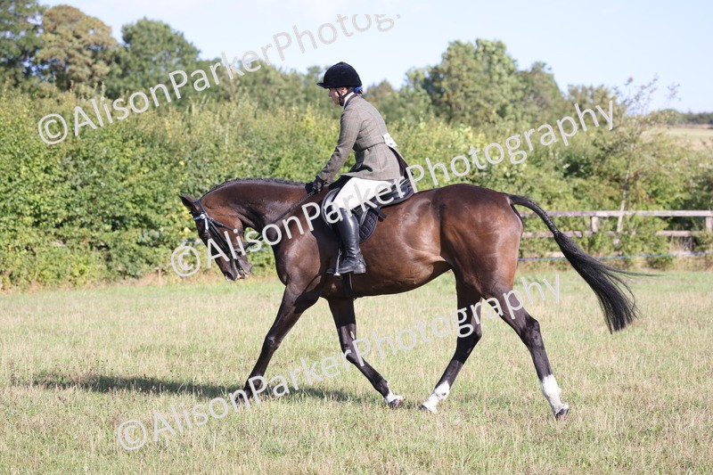 20260906-0411 - Class 14 - Ex Racehorse