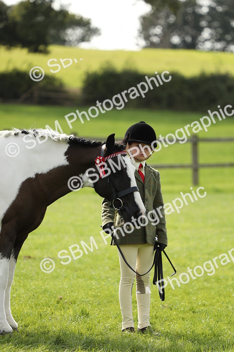SBM_67838 - S39 - Junior Handler 8  Years & Under