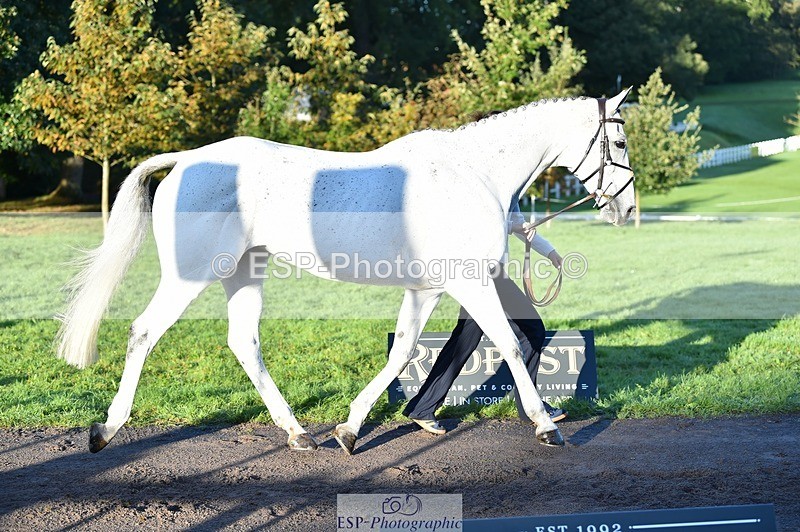 231022-085730-21470 - 646-SKIPTOTHEGOODBIT-Sophia.Mcdonald-TrotUp+SJ