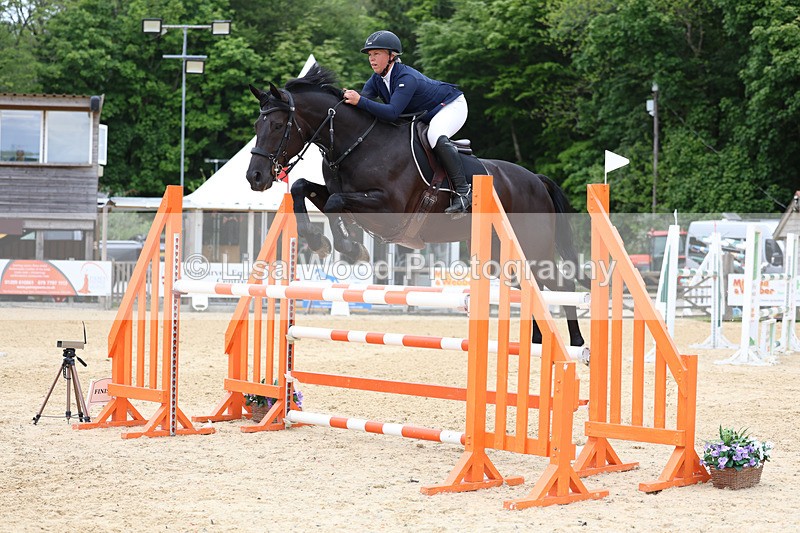 3E7A9554 - Class 9: Senior Foxhunter/1.20 open