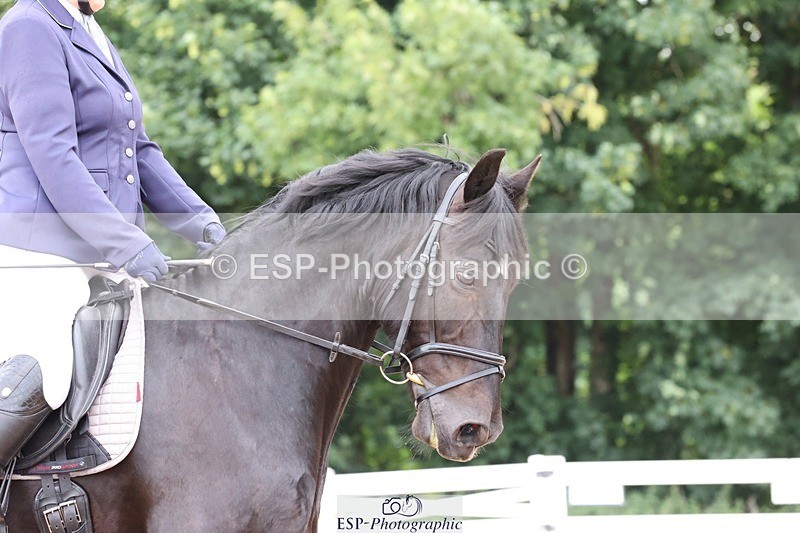 250620-093908-00230 - BD Cls 6 - Freestyle Novice