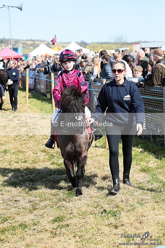 Shet 060426 70 - Shetland Pony Racing Paxford Races Easter Mon 06/04/26