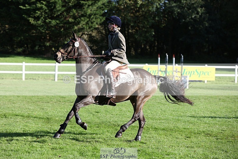 231022-102232-24489 - 629-DP.UK.DUN.SURPRISE-Isla.Kitson-TrotUp+SJ