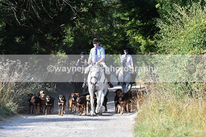 WJ5_4773 - Walk out with the hounds