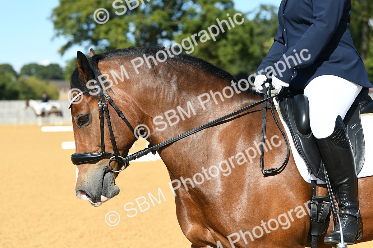 SBM_25027 - D13 - Grand Tour Championship - Prelim 12