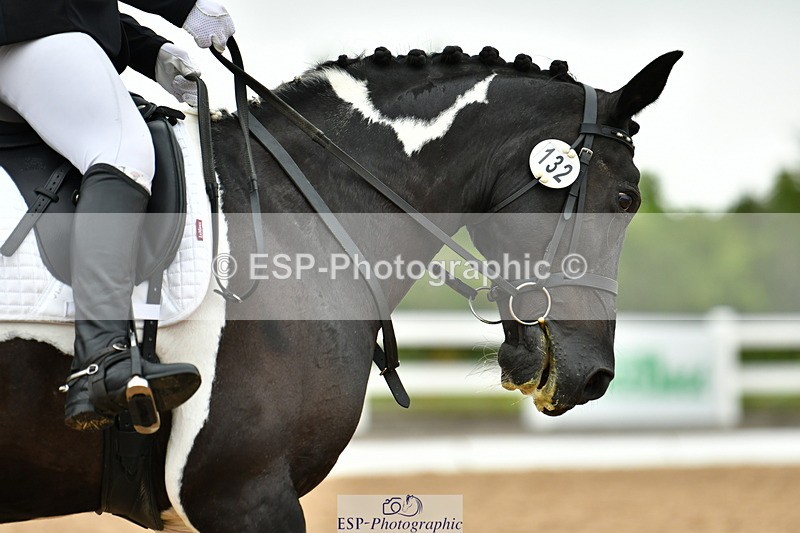 230708A-115920-02675 - Prelim 13