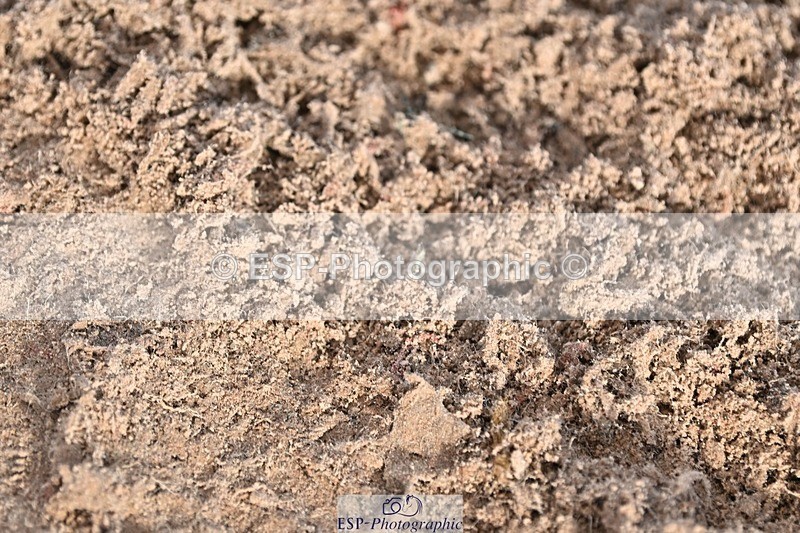 241120X-124310-00469 - Cls 04A&B Snr Newc & 110 Open