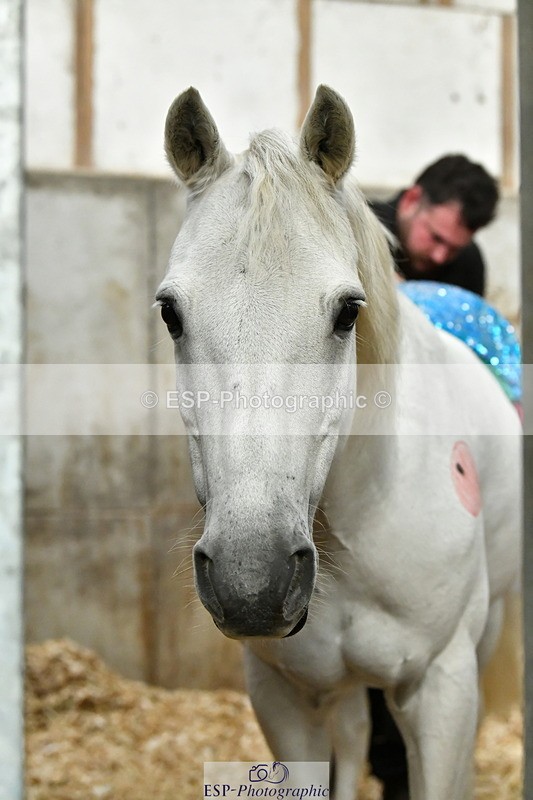 230804A-094228-02174 - Stable Shots