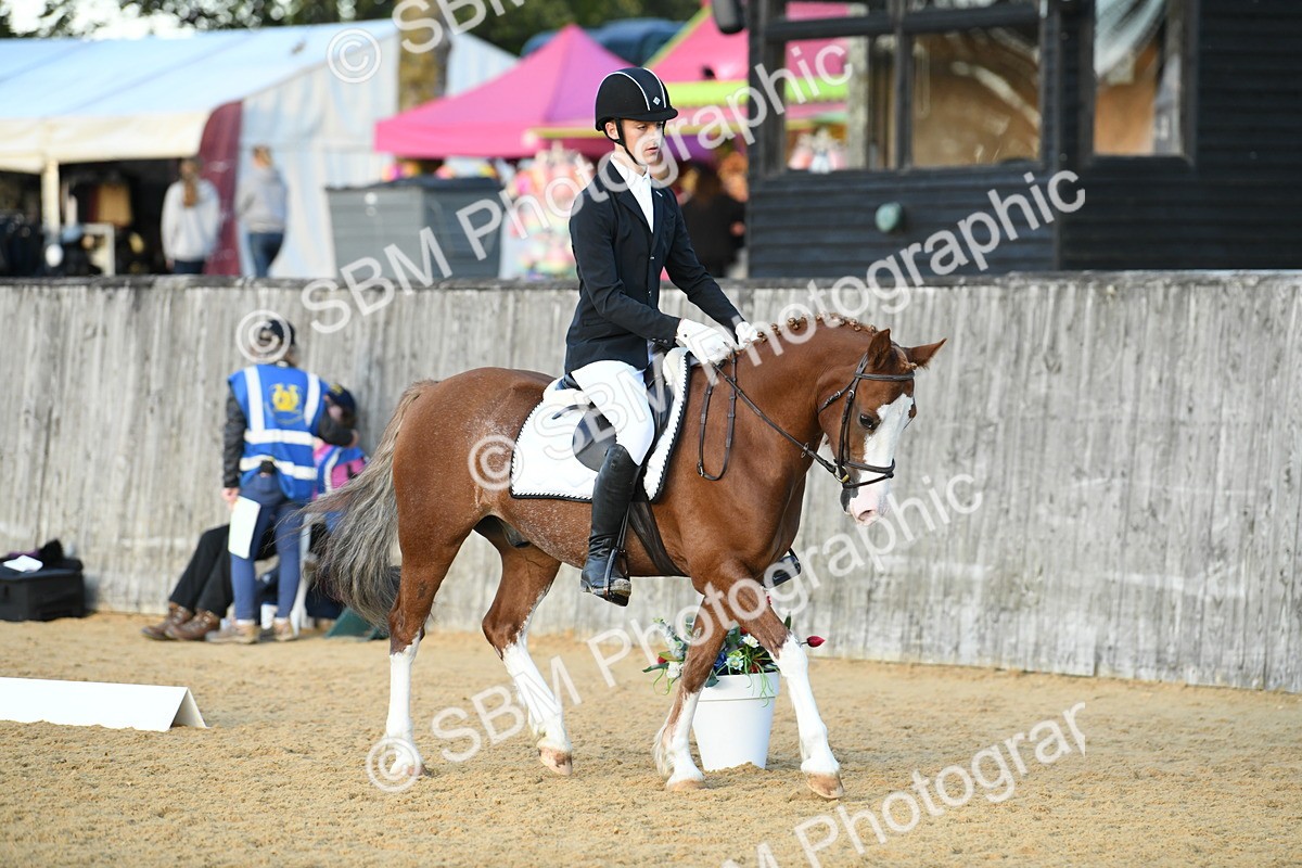 SBM_30975 - D16 - Small Tour Championship - Novice 28