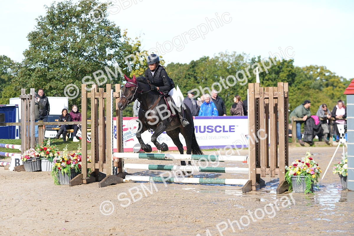 SBM_38275 - J6 - Junior Pony 55cm Championship