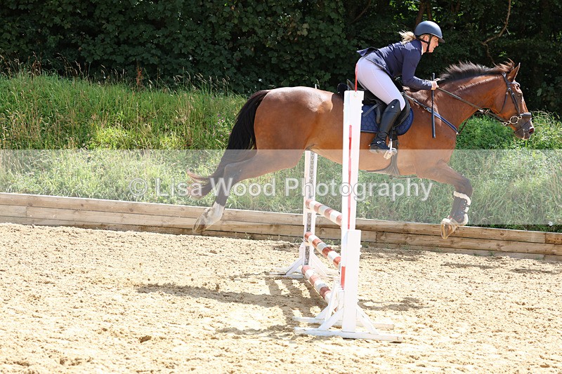 3E7A0440 - Class 9: Senior British Novice/90cm open