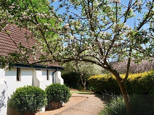 St Paul's United Church, Haenertsburg - NEW GALLERY AS A SOUTH AFRICAN RESIDENT