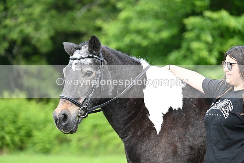 WJ7_1646 - Class 11 Condition & Turnout