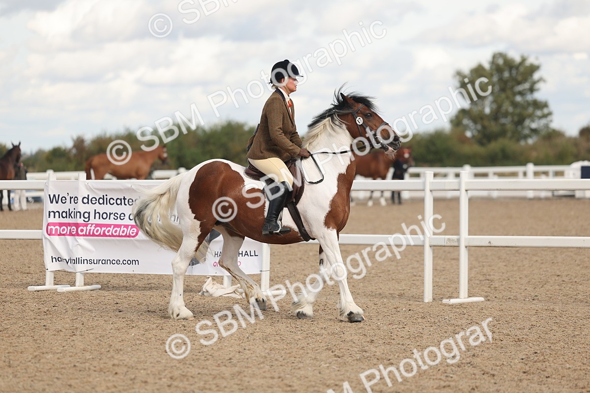 SBM_14643 - Class 307 - Ridden Coloured Pony