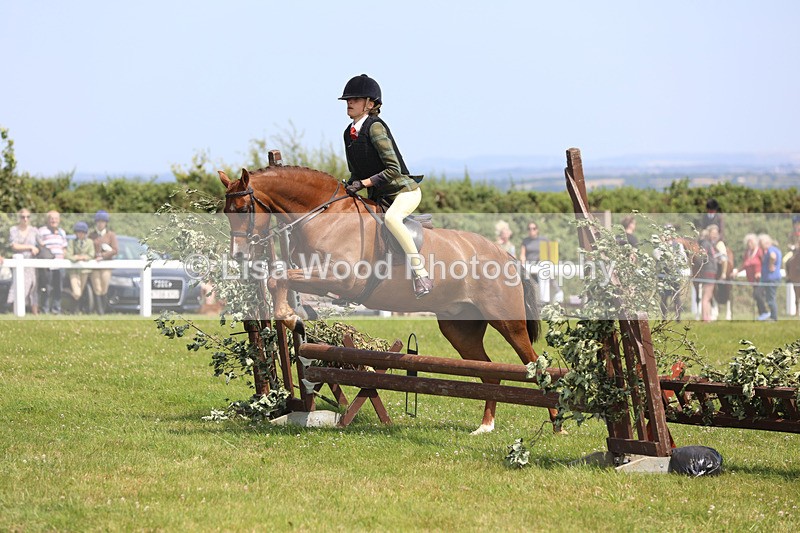 JPP_2575 - Class 21: Working Hunter 60cm