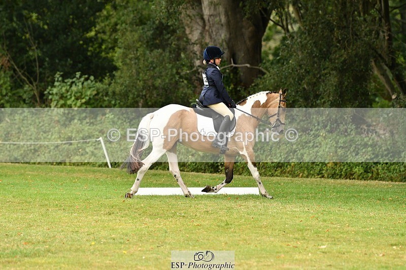 250820A-125225-05679 - 12 to 13.00