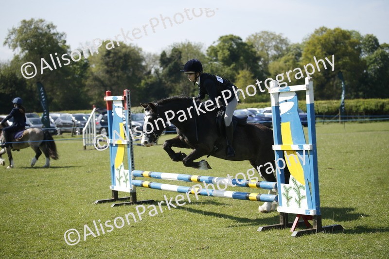 20250427-2042 - Class 13 - Novice Jumping 60cm