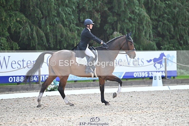 231019-110628-02051 - 105-BRIGHT.KNIGHT.III-Janet.Clarke-DR