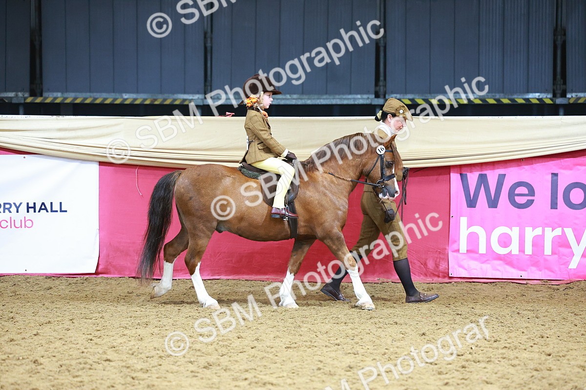 SBM_12392 - Class 103 - HOYS Veteran Qualifier - Ridden Pre Vet