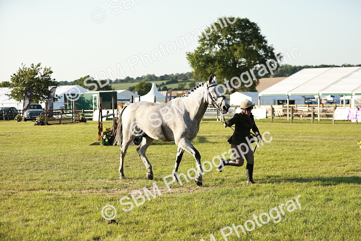 SBM_20556 - Class 117-119 - Sport Horse Working Hunter