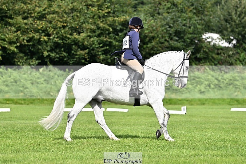 230826-105550-16775 - Sections A & B 10 to End