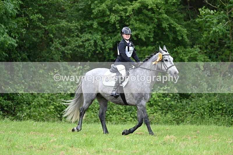 WJ7_4320 - Class 14A Handsome Gelding