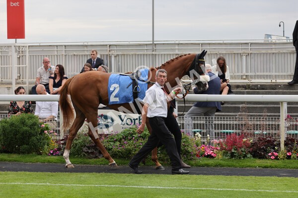 yr24072021r7-1 - Race 7 5.35pm The Sporting Life Fast Results Stakes