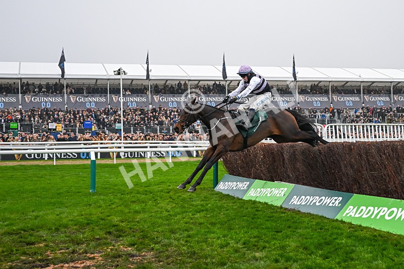 151125-Race 3-July Flower--3013 - Race 3