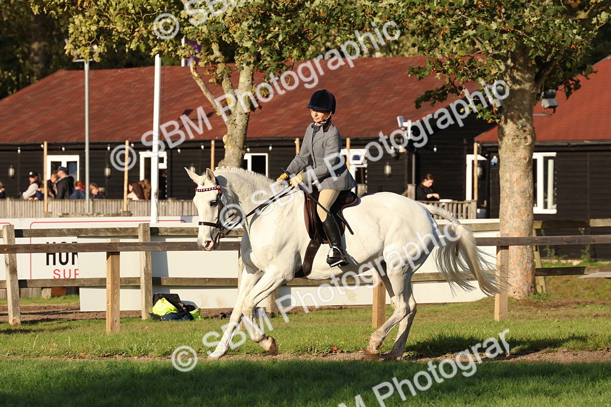 SBM_53053 - S29 - Mature Veteran Ridden