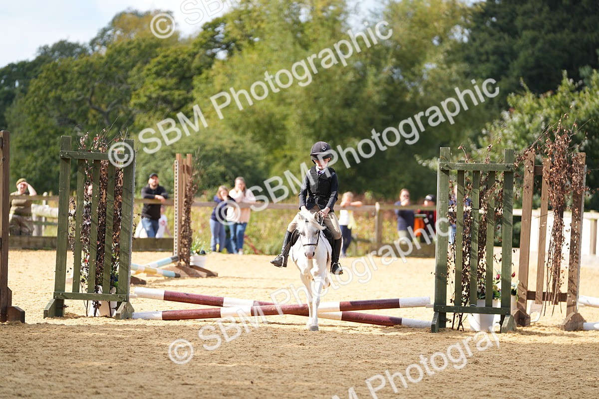 SBM_64337 - J2 - Mini Tour Junior Pony 30cm Championship
