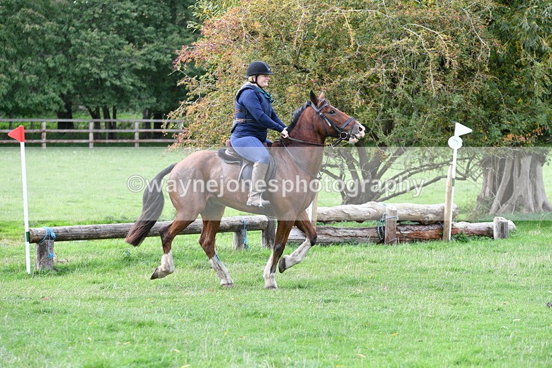 WJ5_0622 - Time 13:59 to 14:28