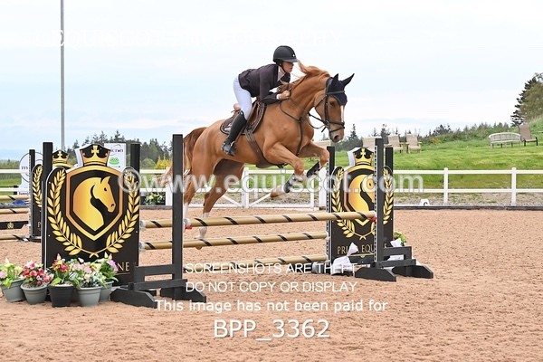 BPP_3362 - CLASS 13 - SAT - SENIOR BRITISH NOVICE / 90CM OPEN