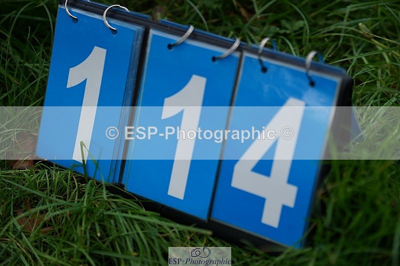 231020-140316-09454 - 114-LATINA'S.TWINKELING-Pippa.Haslam-XC