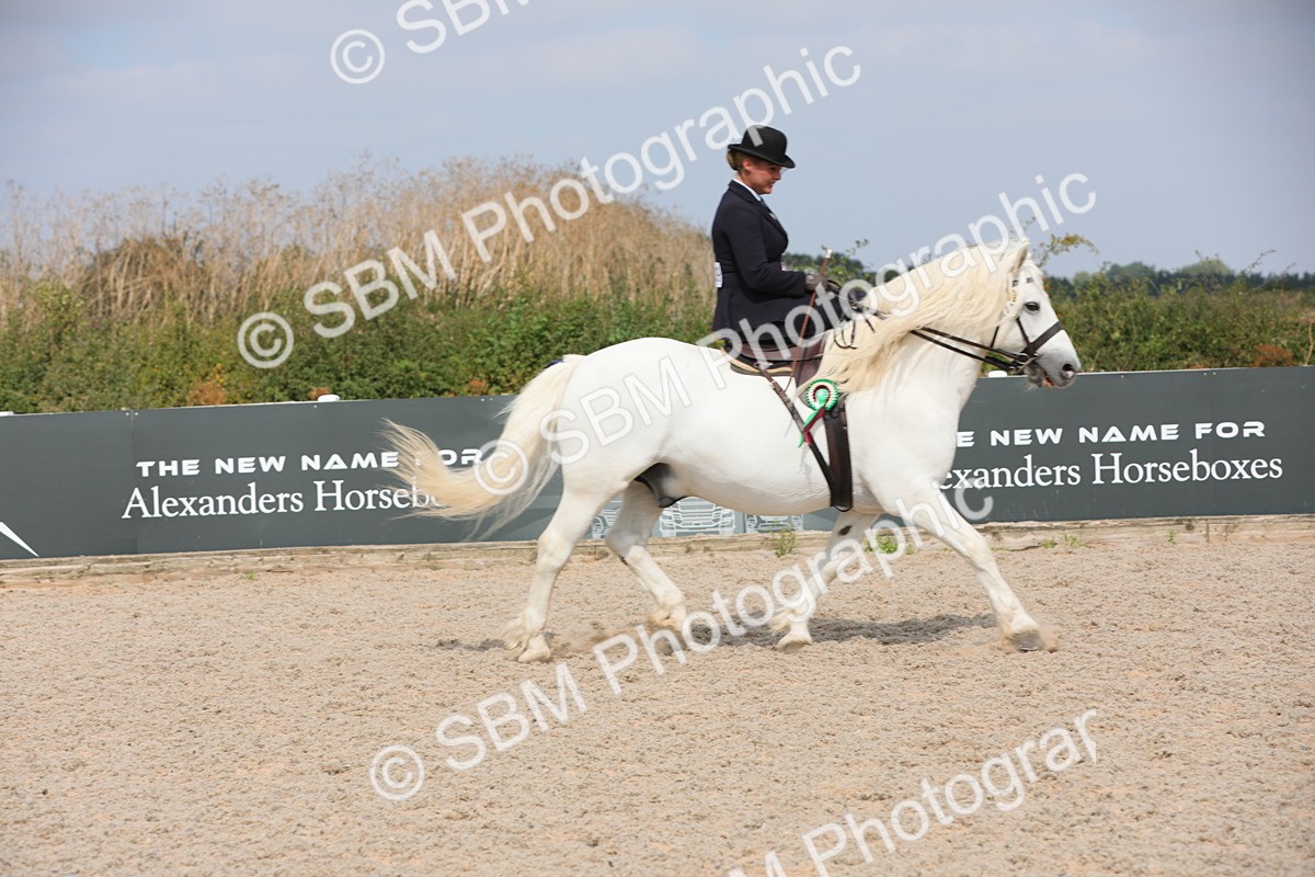SBM_14655 - Class 211 Best Side Saddle Horse/Pony