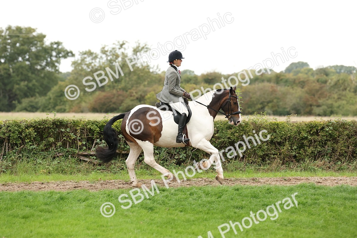 SBM_67334 - S67 - Piebald & Skewbald Horse Ridden