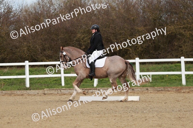 20260314-2768 - DR3 - Prelim 1