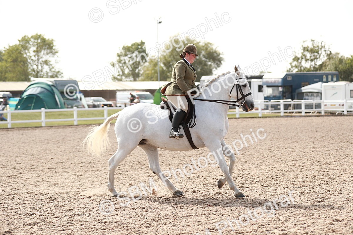 SBM_14848 - Class 212 Ridden Hunter - Small