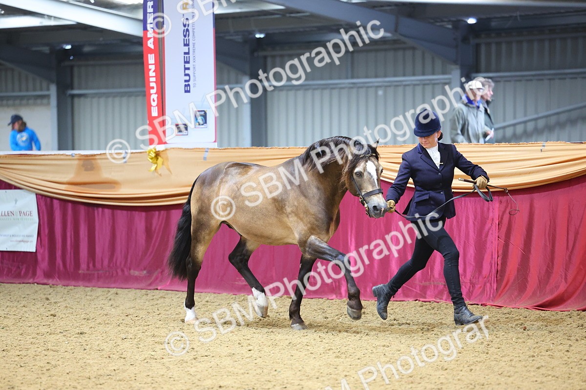 SBM_22674 - Class 903 - Supreme Final - IH Pre Vet