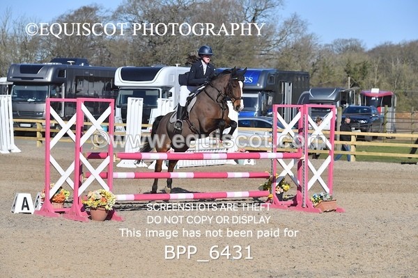 BPP_6431 - CLASS 10 SUN Newcomers/ 1m Open