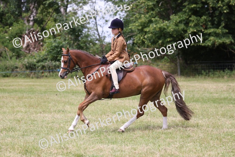 20260614-2828 - Class 22 - Open Working Hunter