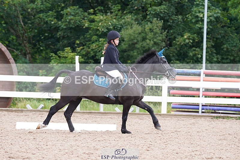 240809A-102000-00491 - Dressage Competition