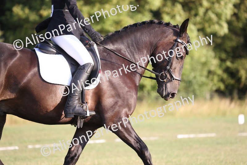 20250731-0310 - Class 2 - Prelim 3