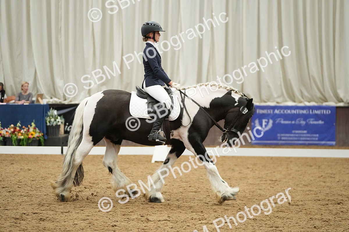 SBM_004417 - Class 11 - Elementary 2 Champs