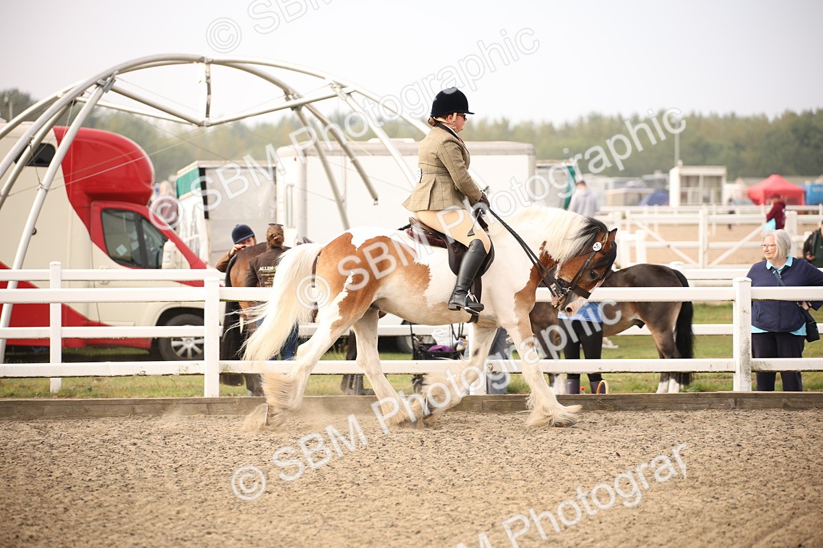 SBM_10204 - Class 402 Riding Club Horse